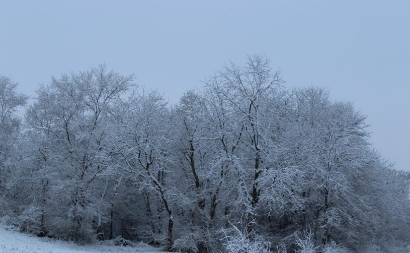 Bride of Christ – Post&nbsp;#7