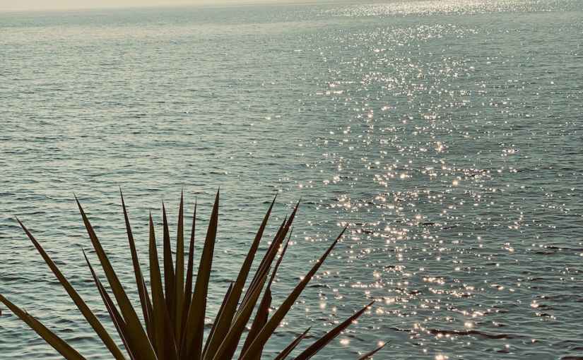 Health and Healing&nbsp;#10