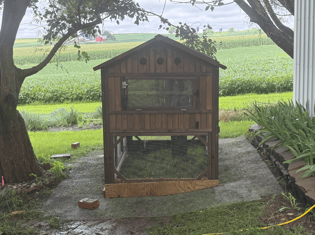 Small Chicken Coop